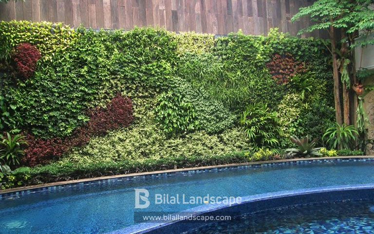 Jasa Vertical Garden BSD