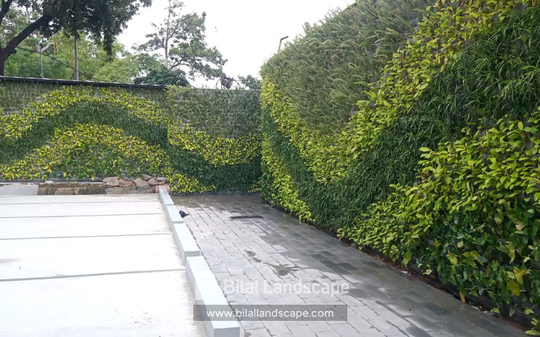 Jasa Vertical Garden Bogor